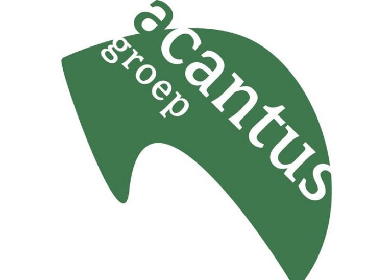 Acantus 700×500